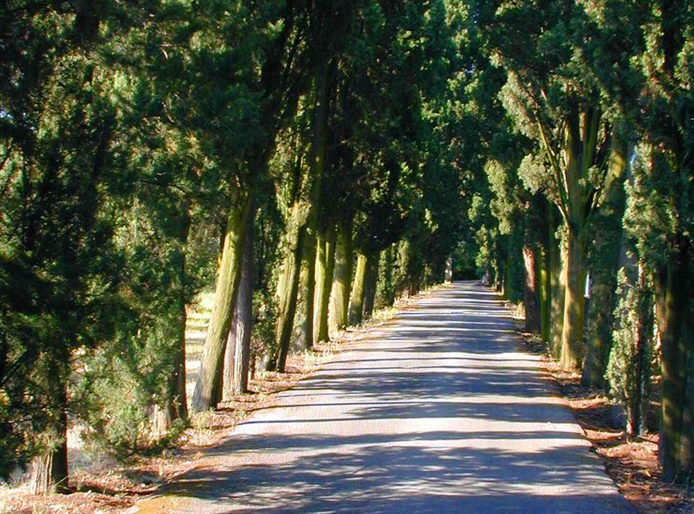 Hotel Villa Le Rondini フィレンツェ エクステリア 写真